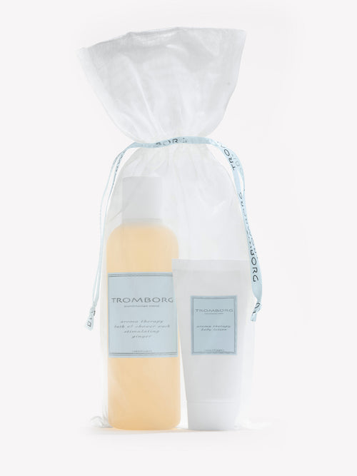 Bath & Shower Ginger Christmas Set