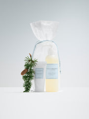 Aroma Therapy Deluxe Soap Ginger Christmas Set